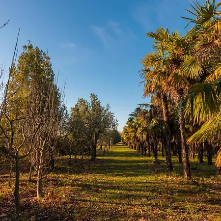 Campeggio Il Pruno - Luxury Tent