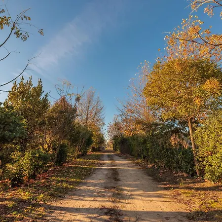 Campeggio Il Pruno - Luxury Tent